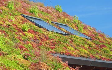 Bascote Heath living roof systems